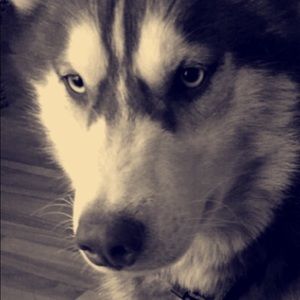 Meet your Posher, Patrick